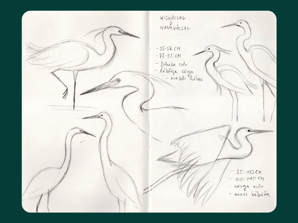 sketchbook-1